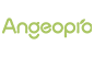 Angel Yeast logo
