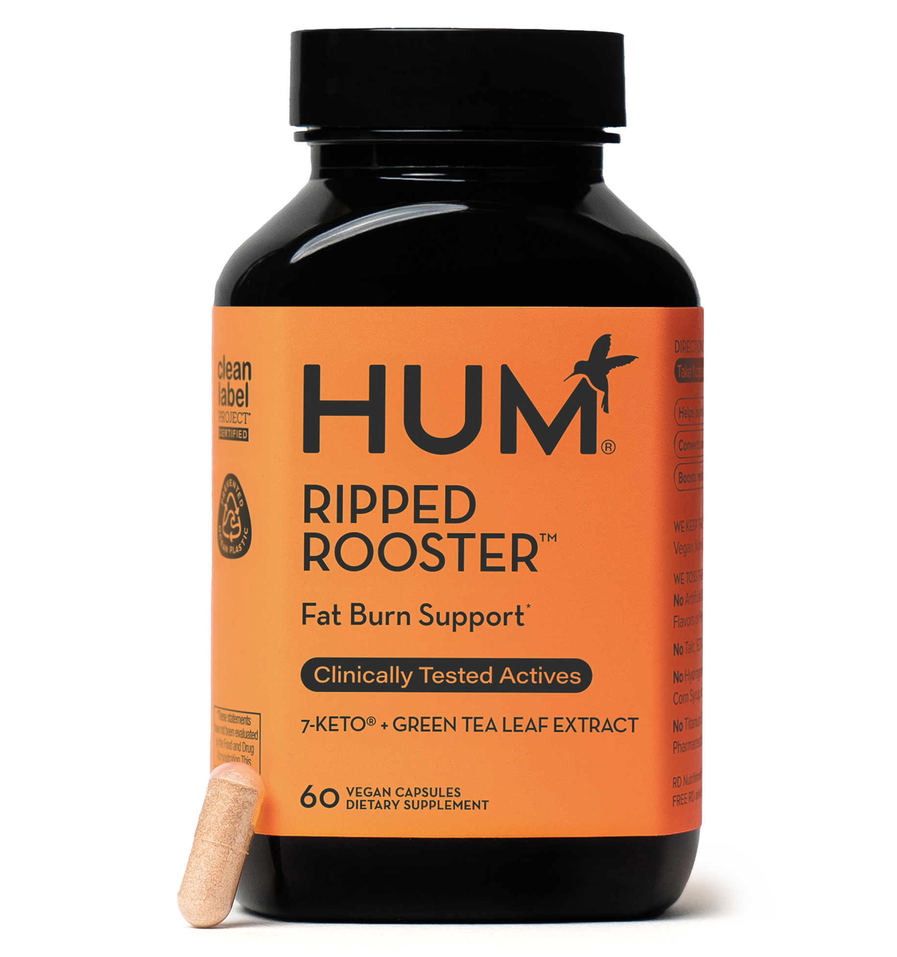 Ripped Rooster