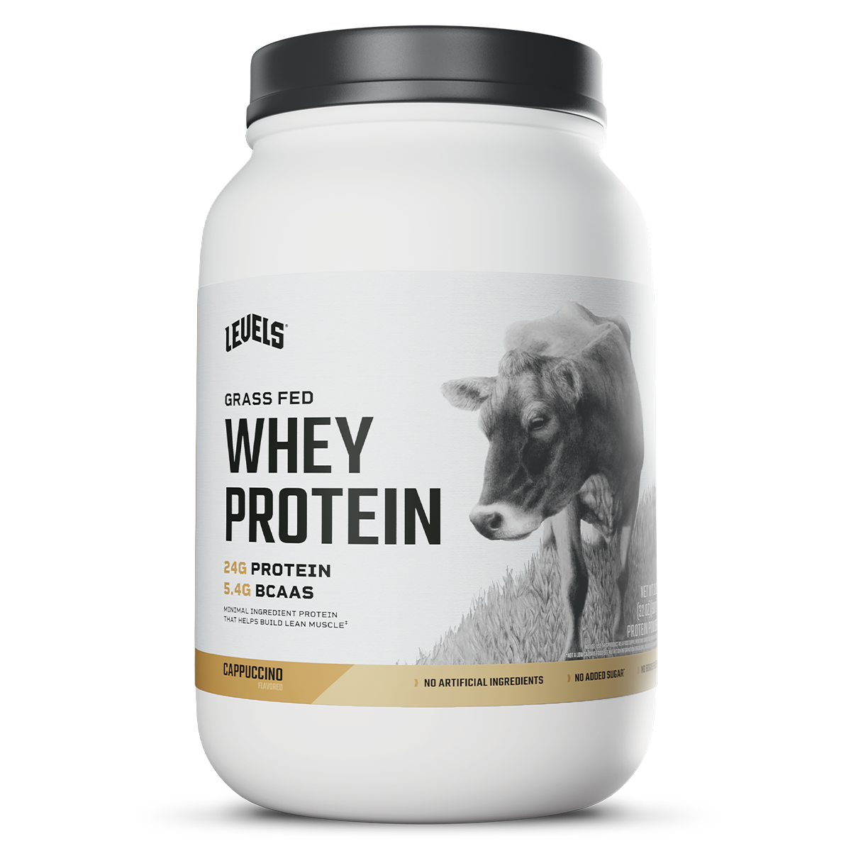 Whey – Cappuccino – 2lb