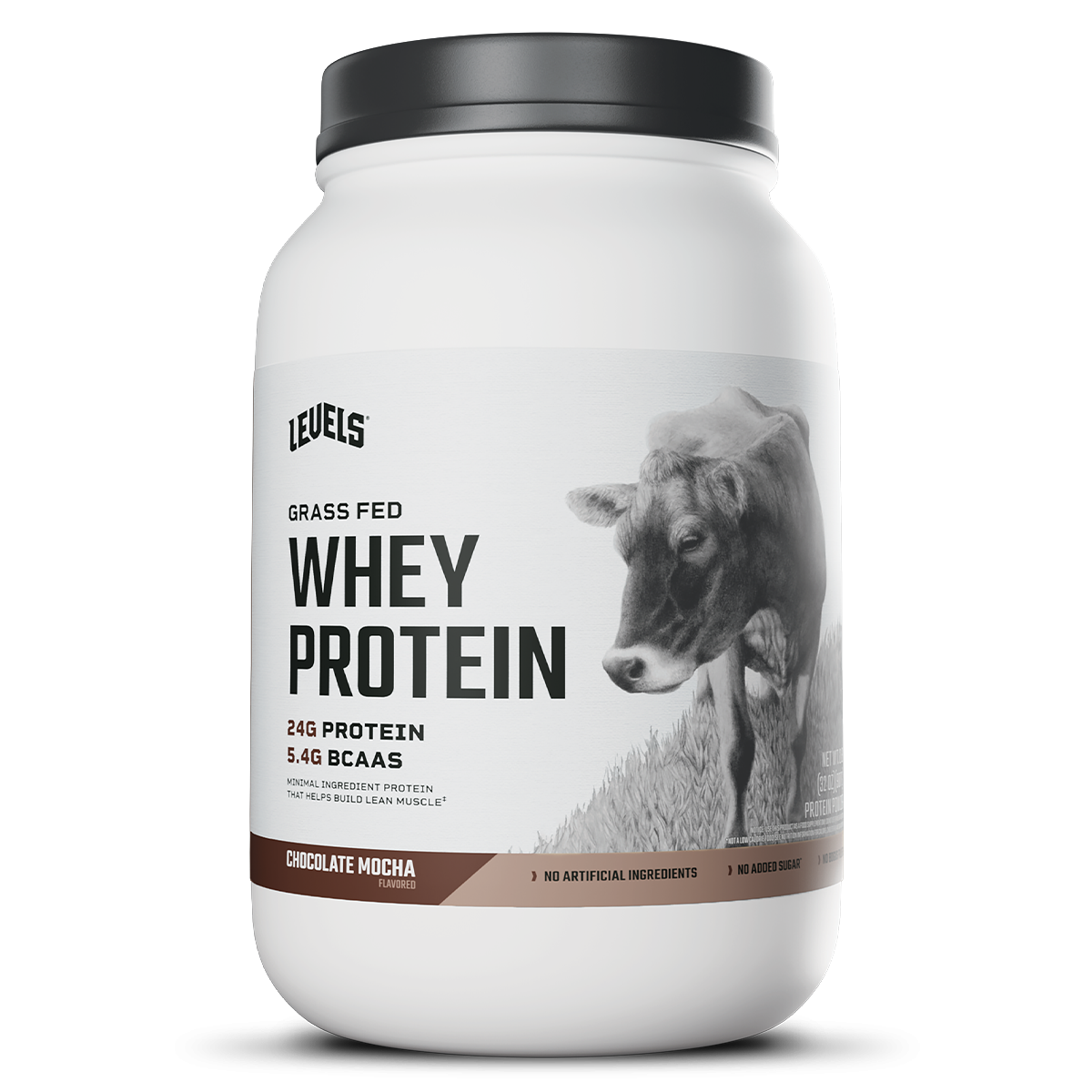 Whey – Chocolate Mocha – 2lb