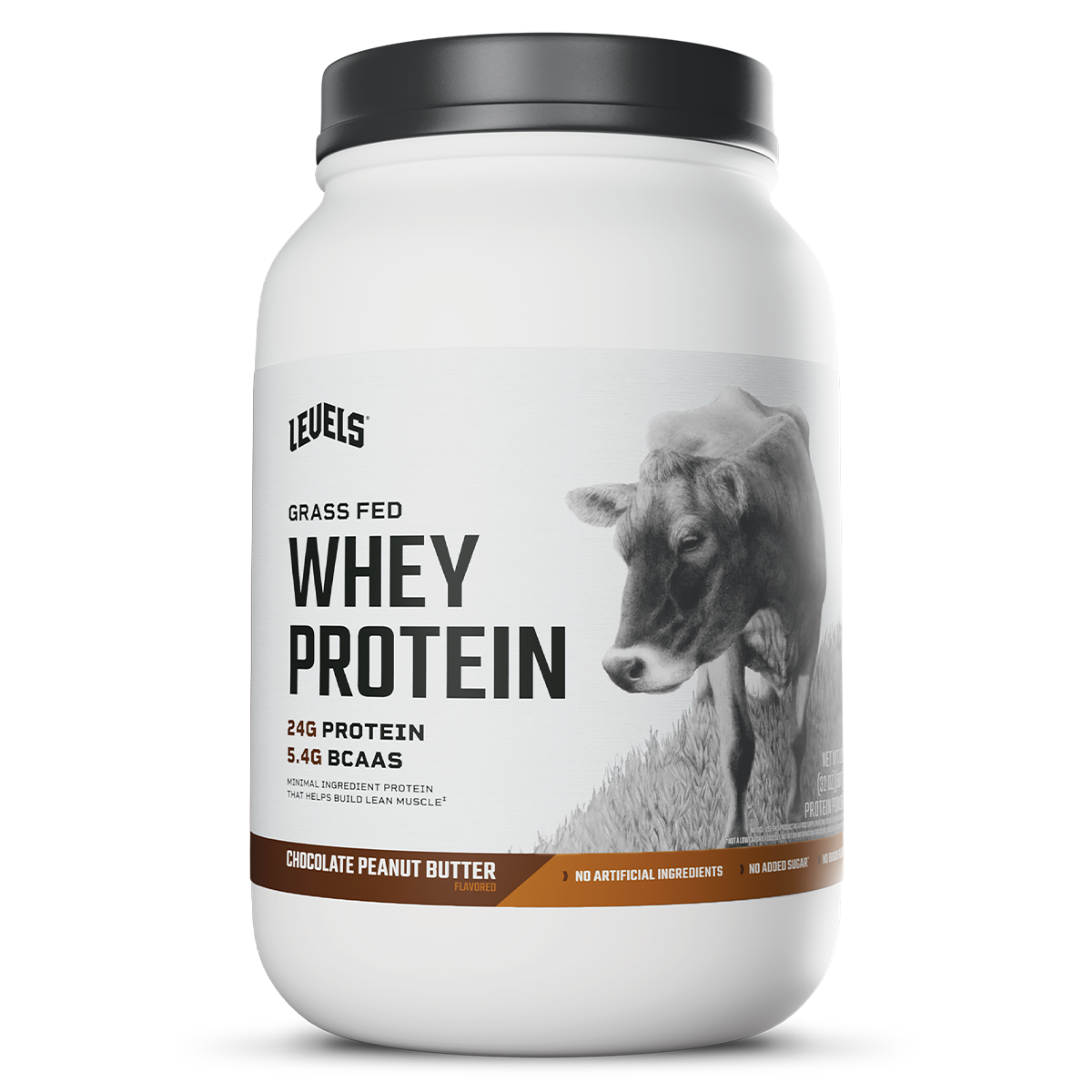 Whey – Chocolate Peanut Butter – 2lb