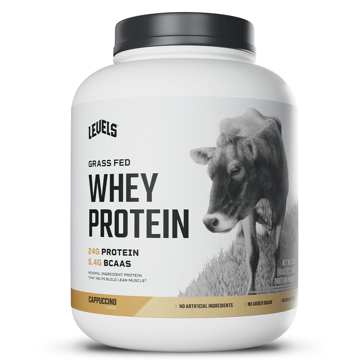 Whey – Cappuccino – 5lb
