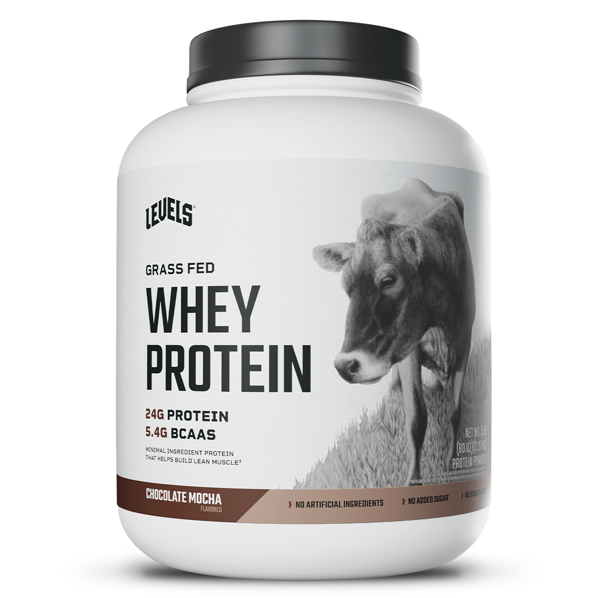 Whey – Chocolate Mocha – 5lb