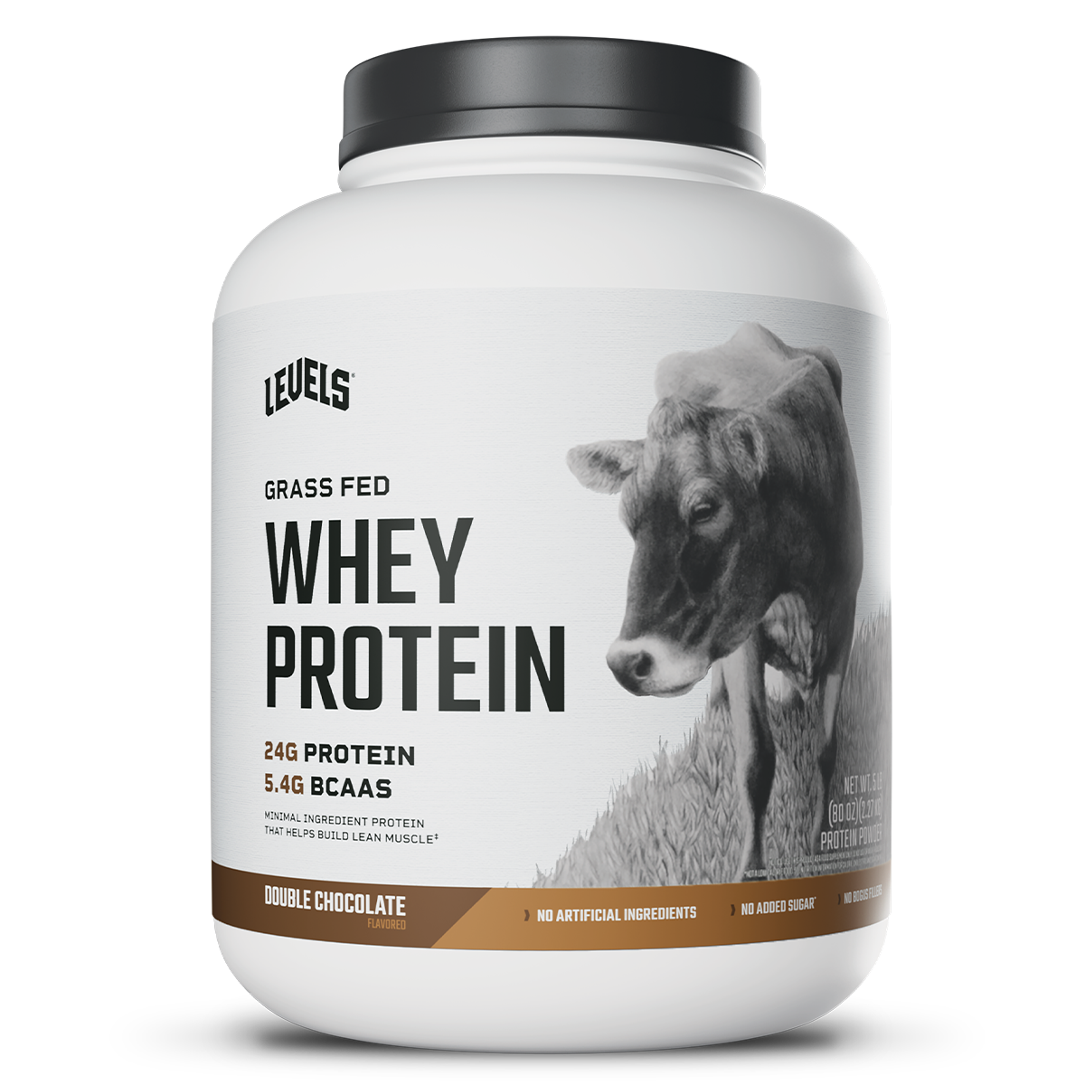 Whey – Double Chocolate – 5lb
