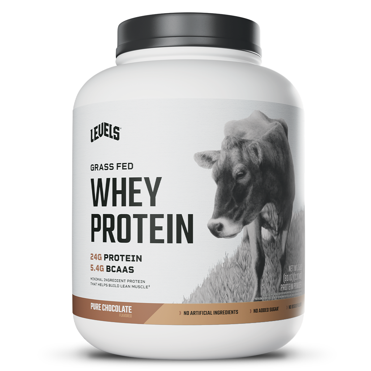 Whey – Pure Chocolate – 5lb