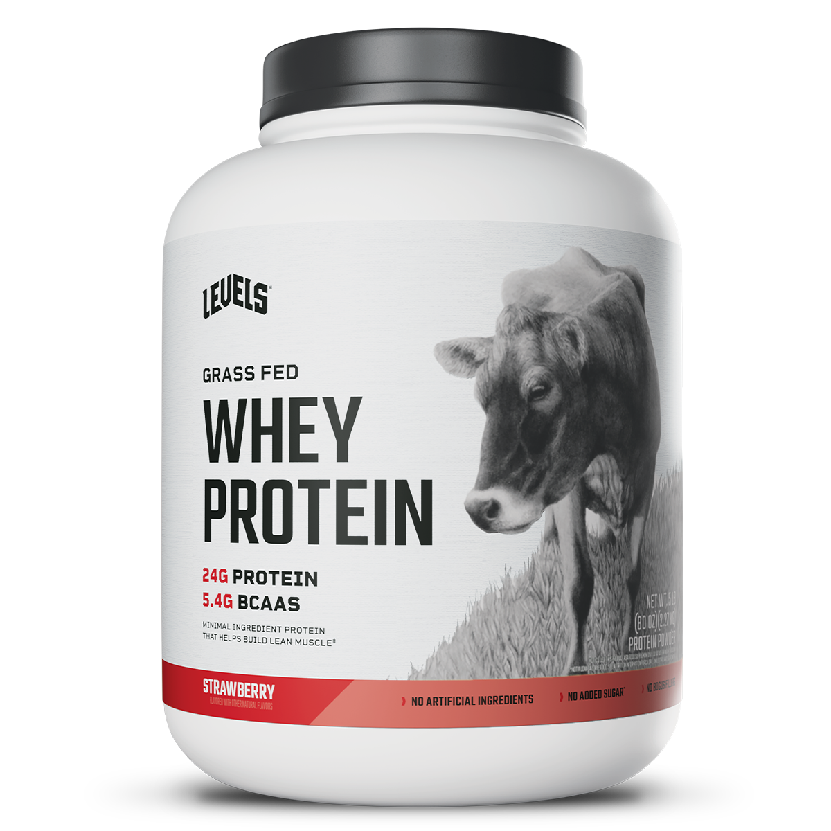 Whey – Strawberry – 5lb