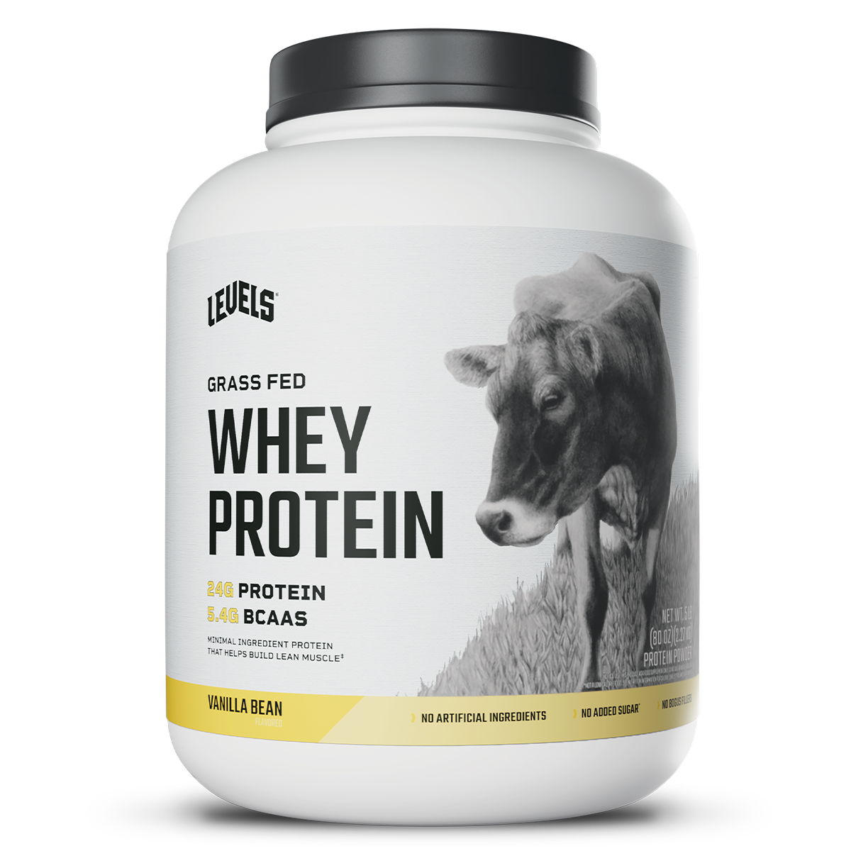 Whey – Vanilla Bean – 5lb