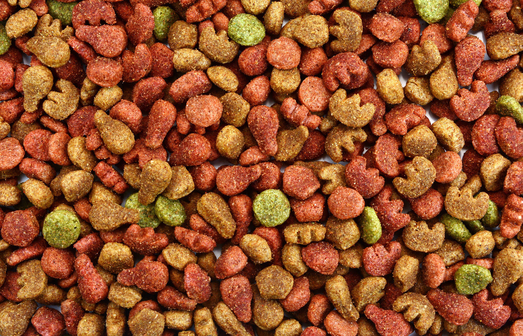 close-up of cat food